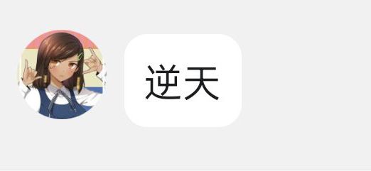 KIRA图片4